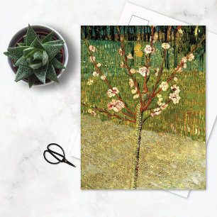 Amandier en Fleurs Vincent van Gogh Carte Postale