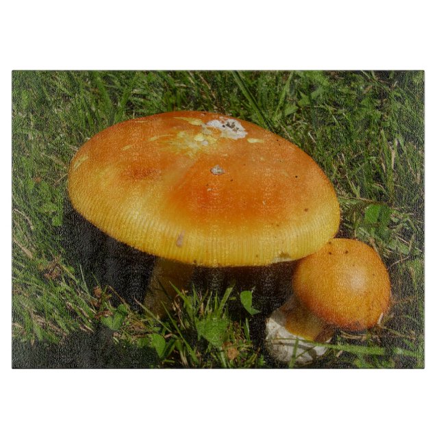 Amanita Caesarea Mushroom Glass Chopping Board (Front)