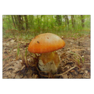 Amanita Caesarea Mushroom Glass Chopping Board