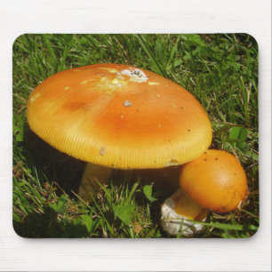Amanita Caesarea Mushroom Mouse Mat