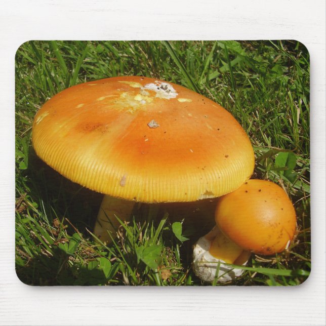 Amanita Caesarea Mushroom Mouse Mat (Front)
