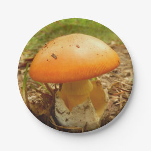 Amanita Caesarea Mushroom Paper Plates