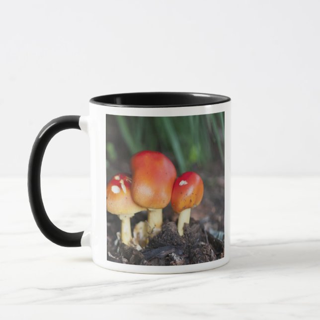 Amanita family mushroom mug (Left)