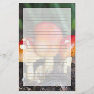 Amanita family mushroom stationery