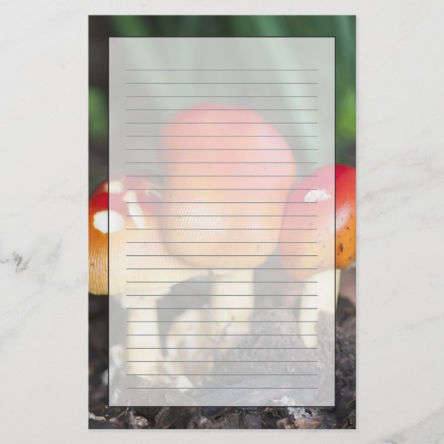 Amanita family mushroom stationery (Front)