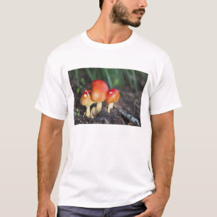 Amanita family mushroom T-Shirt
