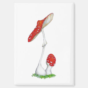 Amanita muscaria magnet