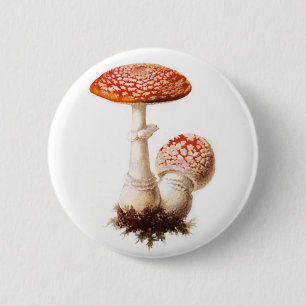 Amanita Mushroom Button