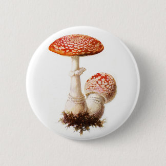 Amanita Mushroom Button