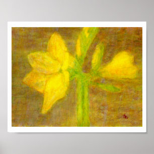 Amaryllis, Affiche