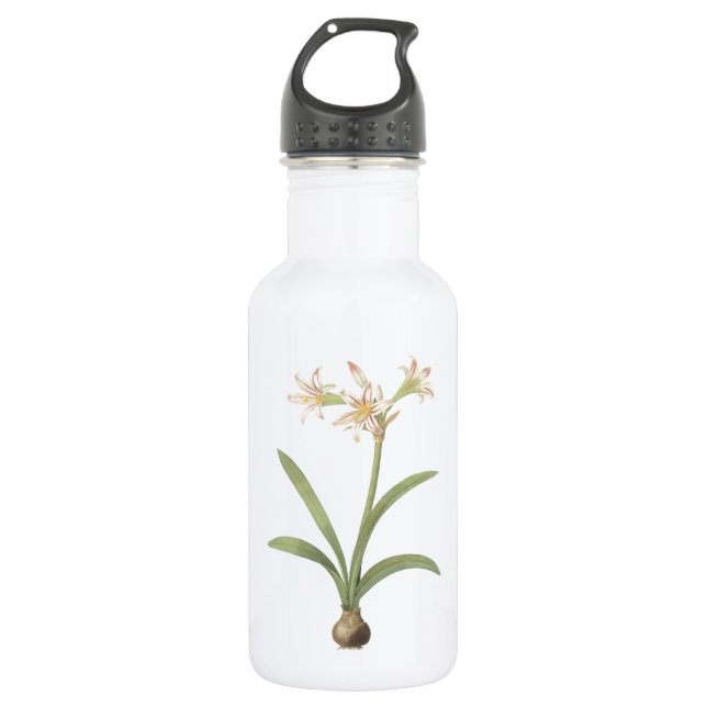 amaryllis(Amaryllis vittata) by Redouté 532 Ml Water Bottle (Front)