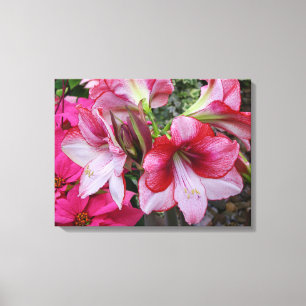 Amaryllis and Poinsettia Red Holiday Flowers Canvas Print