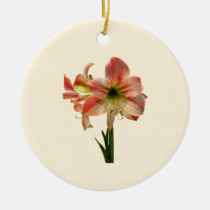 Amaryllis Apple Blossom Ceramic Ornament