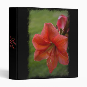 Amaryllis Binder