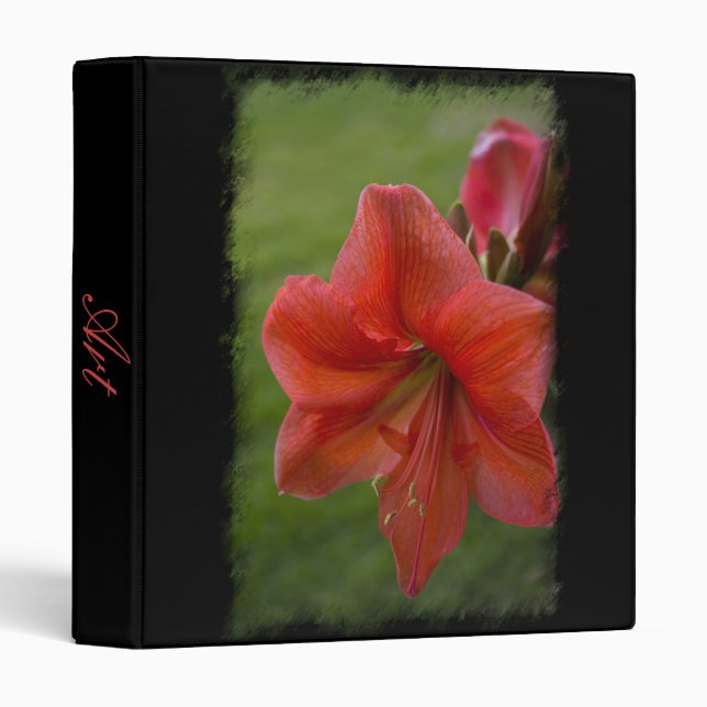 Amaryllis Binder (Front/Spine)