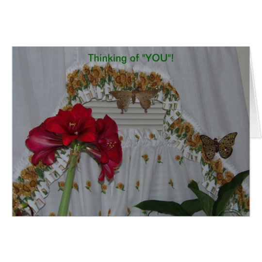 Amaryllis & Butterflies, Thinking of You Card