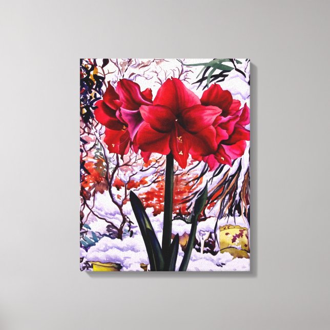 Amaryllis by Snow Window Canvas Print (Front)