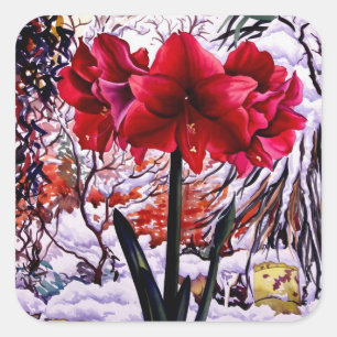 Amaryllis by Snow Window Square Sticker