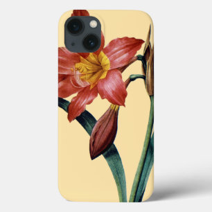 Amaryllis iPhone 13 Case