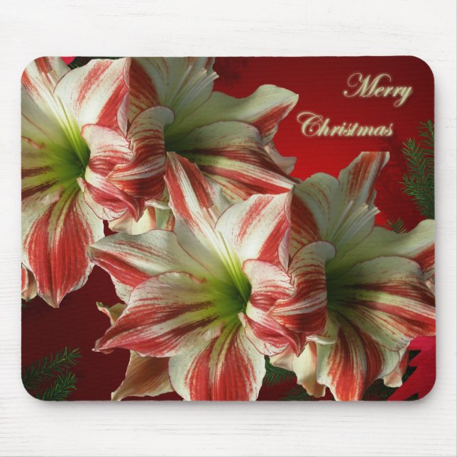 Amaryllis Christmas Mousepad (Front)