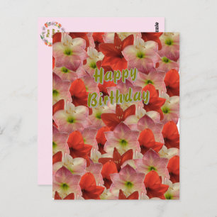 Amaryllis Floral Birthday Postcard