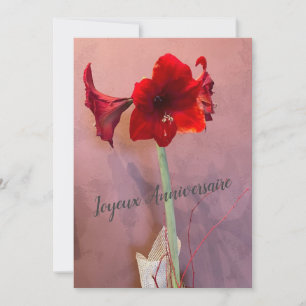 Amaryllis flower