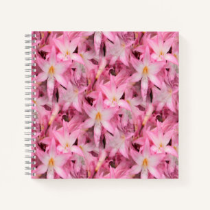 Amaryllis Galore....... Notebook