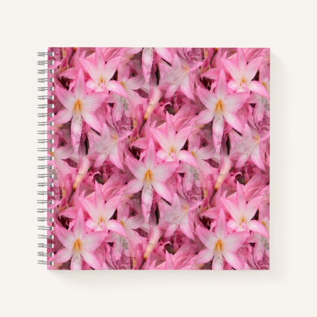Amaryllis Galore....... Notebook (Front)