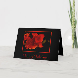 Amaryllis Holiday Card