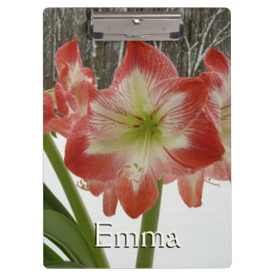 Amaryllis in Snow Red Holiday Winter Floral Clipboard