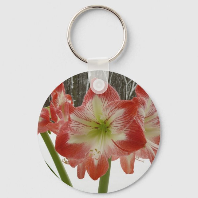 Amaryllis in Snow Red Holiday Winter Floral Keychain (Front)