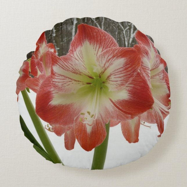 Amaryllis in Snow Red Holiday Winter Floral Round Pillow (Front)