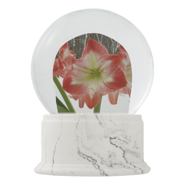 Amaryllis in Snow Red Holiday Winter Floral Snow Globe (Front)