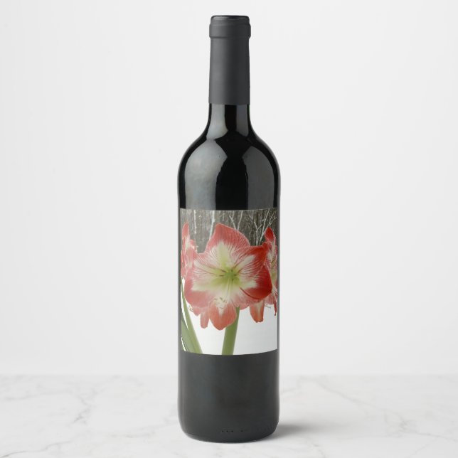 Amaryllis in Snow Red Holiday Winter Floral Wine Label (Front)