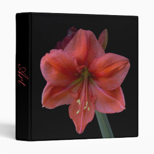Amaryllis On Black Binder