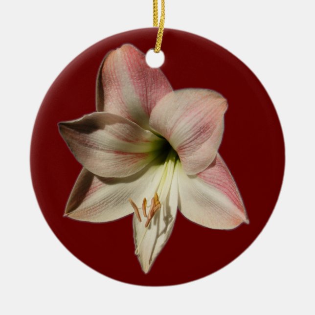 Amaryllis ~ ornament (Front)