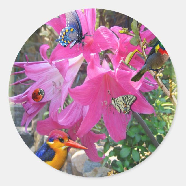 Amaryllis Party Classic Round Sticker (Front)