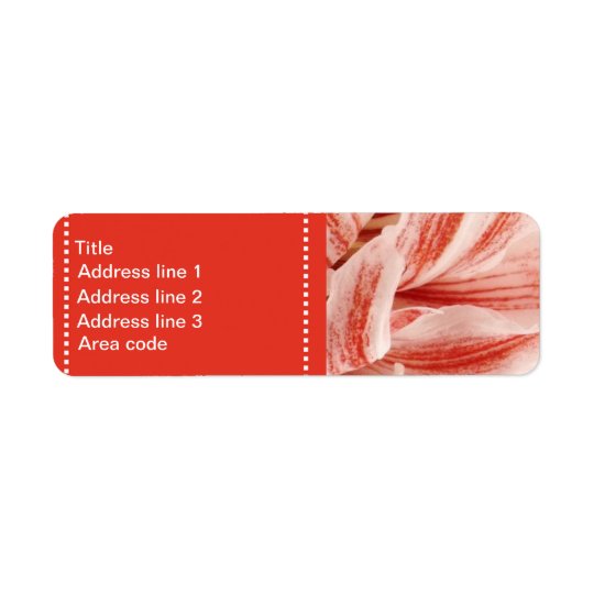 Amaryllis Petals Personalized Wedding Return Address Label