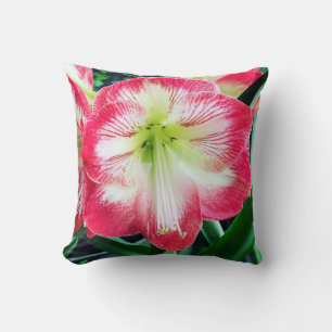Amaryllis pink white colour gentle flower branch  throw pillow