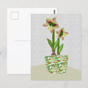 Amaryllis Postcard