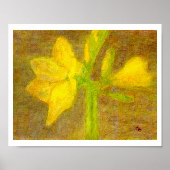 Amaryllis, Poster (Front)