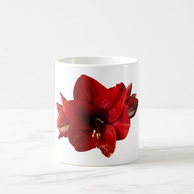 Amaryllis, red flower coffee mug (Center)