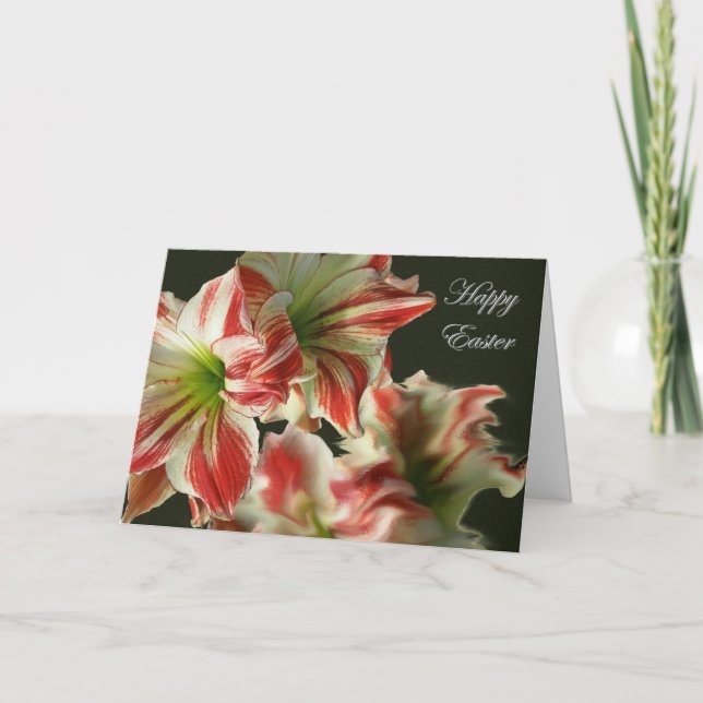 Amaryllis réflexion Bonne carte de Pâques (Devant)