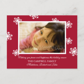 Amaryllis Snowflakes :: Christmas Photo Postcard