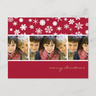 Amaryllis Snowflakes :: Christmas Photo Postcard