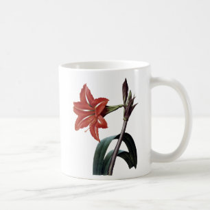Amaryllis Striped Coffee Mug