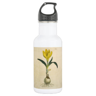 Amaryllis Tulip Botanical Garden Flower 532 Ml Water Bottle