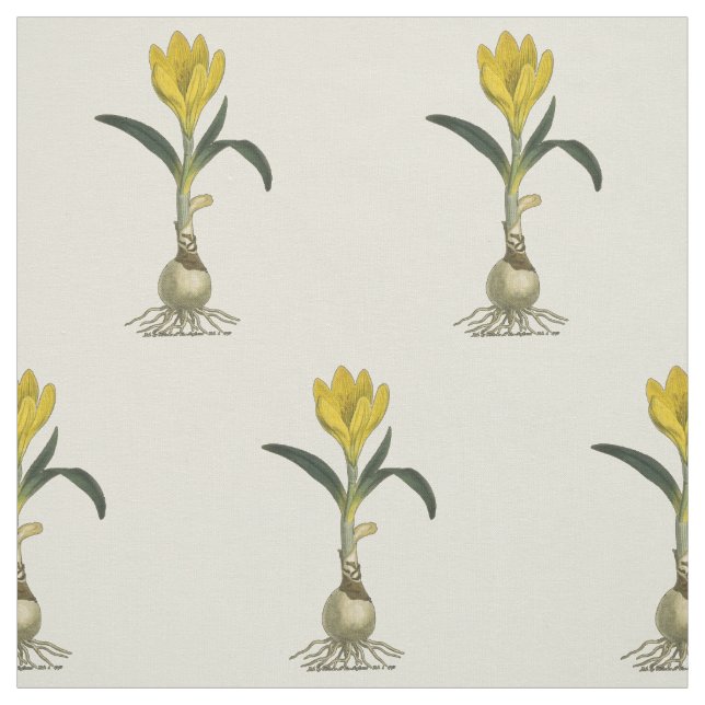 Amaryllis Tulip Botanical Garden Flower Fabric (Swatch)