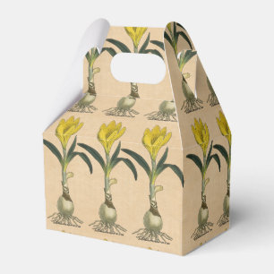 Amaryllis Tulip Botanical Garden Flower Favor Box