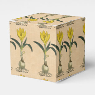 Amaryllis Tulip Botanical Garden Flower Favor Box